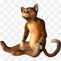 小猫哈瓦那棕色胡须尾巴3D。