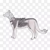 萨鲁士狼狗西伯利亚哈士奇捷克斯洛伐克狼狗阿拉斯加美洲豹萨哈林哈士奇色碎屑