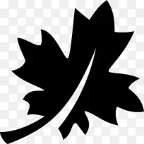 加拿大枫叶电脑图标