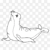 无耳海豹着色书绘制港口海豹自然海洋动物海豹