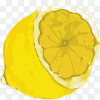 柠檬线艺术柠檬剪贴画-一片