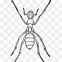 蚂蚁昆虫剪贴画-蚂蚁