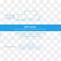 SAP Hana sap Business One sap se data sap s/4 hana-简单报纸