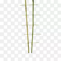 竹线角