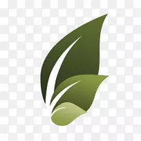 潮水金融公司叶新生命vb新生命长老会植物茎叶
