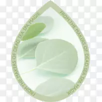 绿叶树胶树餐具.创造性绿色水滴