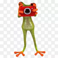 RANAS/青蛙贴纸-青蛙