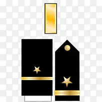 美国海军军官军衔徽章陆军中尉-徽章