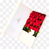 纸花盒材料花盒-阳台花盒
