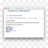 电子邮件MacOS网页苹果-项目报告