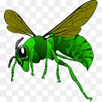 绿色黄蜂剪贴画-蜜蜂