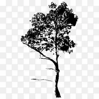 细枝无版税绘图树