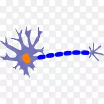 神经神经元神经系统细胞剪贴术