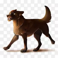 犬种小狗伴犬鼻子-谢申