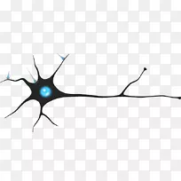 神经元突触人工神经网络