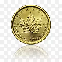 金币加拿大金枫叶加拿大金币PNG