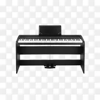 nmm展示数码钢琴korg乐器电子钢琴