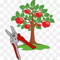 苹果树剪贴画-苹果