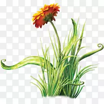 风景照明花园会摄影