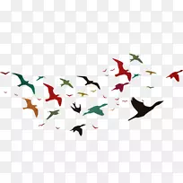 鸟类飞行光景-鸟