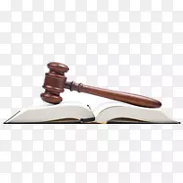 律师事务所法律援助法院-刑事司法系统