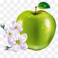 MacBookpro苹果剪贴画-苹果水果