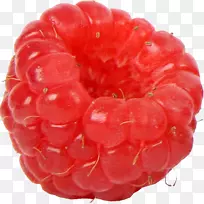 阿莫拉红覆盆子果露珠覆盆子
