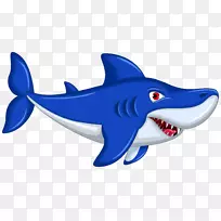 鲨鱼动物-鲨鱼