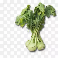 叶菜根菜
