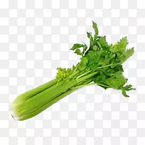 野生芹菜有机食品蔬菜沙拉
