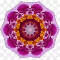 万花筒剪贴画.剪影棱镜色