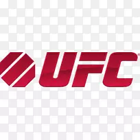 UFC 1：开始的混合武术拳击组织-混合武术