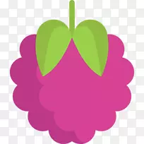 计算机图标raspberry剪贴画.raspberry载体