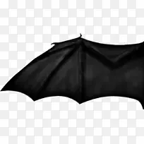 蝙蝠翼发展普通弯翼蝙蝠