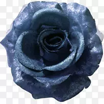 蓝色玫瑰花园玫瑰花剪贴画-花