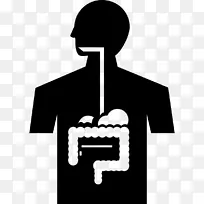 消化，胃肠道，人类消化系统，计算机图标，健康