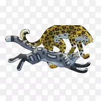 豹大猫陆生动物-绝不会被石头绊倒2次