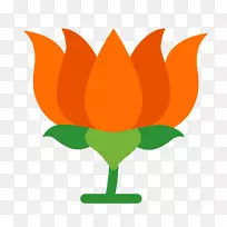 Bharatiya Janata party印度电脑图标桌面壁纸-网页