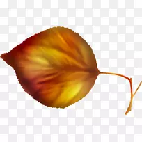 纸画花瓣画
