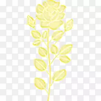 花瓣叶植物茎角字体叶