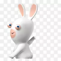 兔子复活节兔子鼻子桌面壁纸-兔子