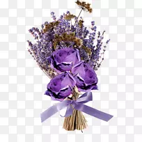 英国薰衣草花紫色花