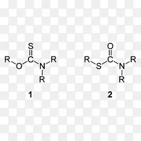 肽键硫代氨基甲酸氨基酸化学键