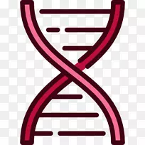 DNA核酸双螺旋结构人