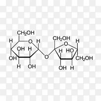蔗糖分子式果糖分子模型-小肠
