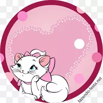 猫YouTube派对-猫