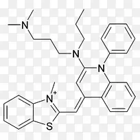 SYBR绿I型核酸分子生物学溴化乙锭DNA-dna结构