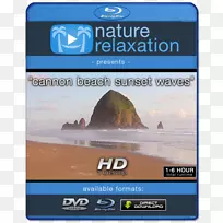 蓝光光盘1080 p标准清晰度电视dvd高清视频回放