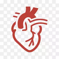 心脏病学计算机图标心脏心血管疾病-心脏
