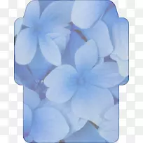 桌面壁纸画.花